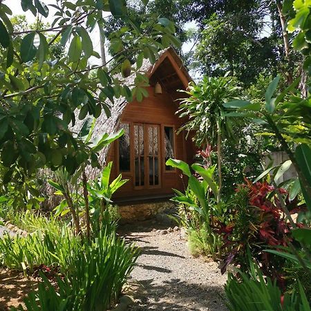 Coconut Tree Cottages Batukaras Zewnętrze zdjęcie